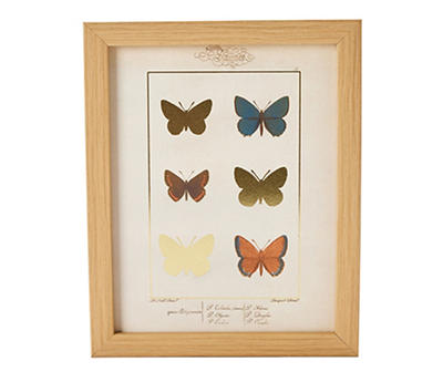 Butterfly Genus Framed Art Print, (8" x 10")
