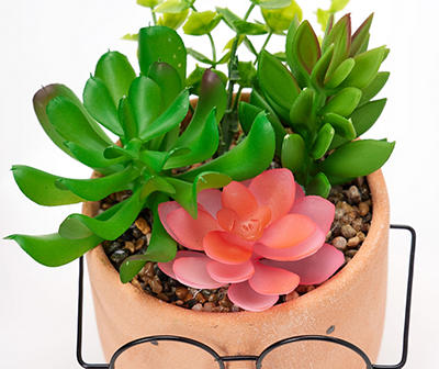 Artificial Succulents in Ceramic Face & Glasses Pot