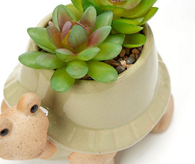 Artificial Succulents in Ceramic Turtle Planter