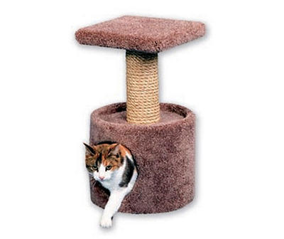 Beatrise Scratching Perch Cat Condo, 22" - Colors May Vary