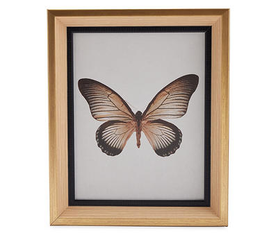 Antique Butterfly Framed Art Print, (9.5" x 11.5")