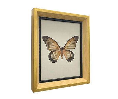 Antique Butterfly Framed Art Print, (9.5" x 11.5")