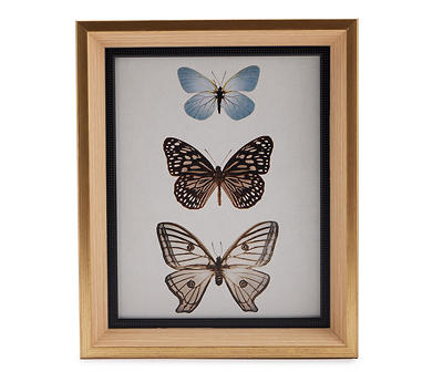 Antique Butterfly Trio Framed Art Print, (9.5" x 11.5")