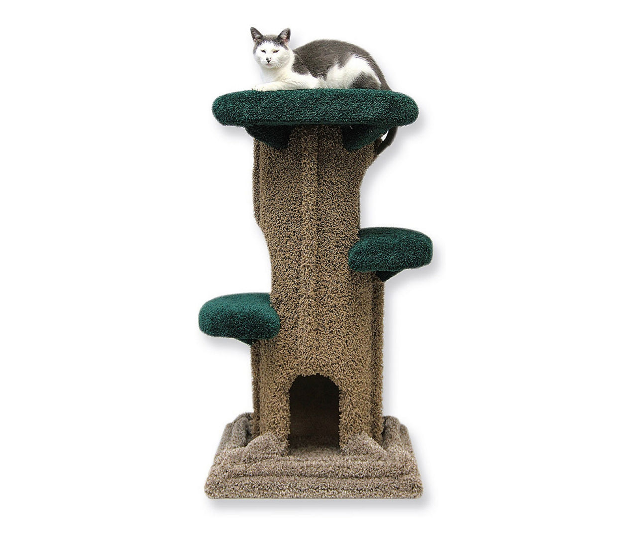 4 Brown Beatrise Oak Sapling Cat Tree