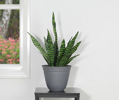 15.8" Gray Bell Resin Planter with Tray