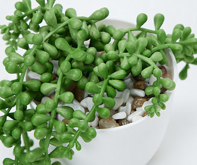 Artificial String Of Pearl Succulent in White Planter