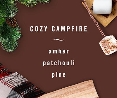Cozy Campfire Odor-Fighting Air Freshener, 2-Pack