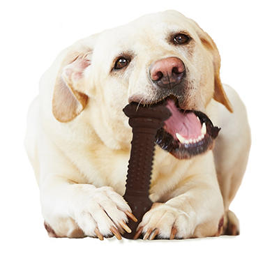 Power Chew Barbell Dog Toy