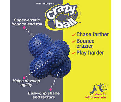 Power Play Crazy Ball Dog Toy