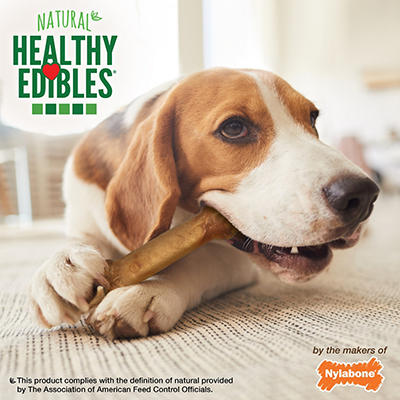 Healthy Edibles Bacon Flavor Dog Chew Treats, 7-Pack