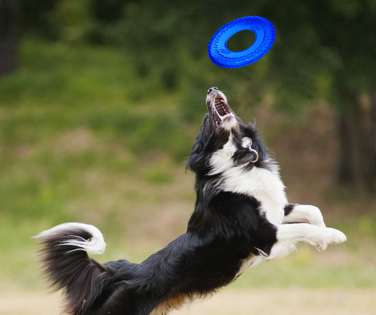 Tire Flyer Dog Toy, 3-Pack