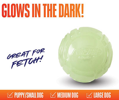 Glow Ball Dog Toy