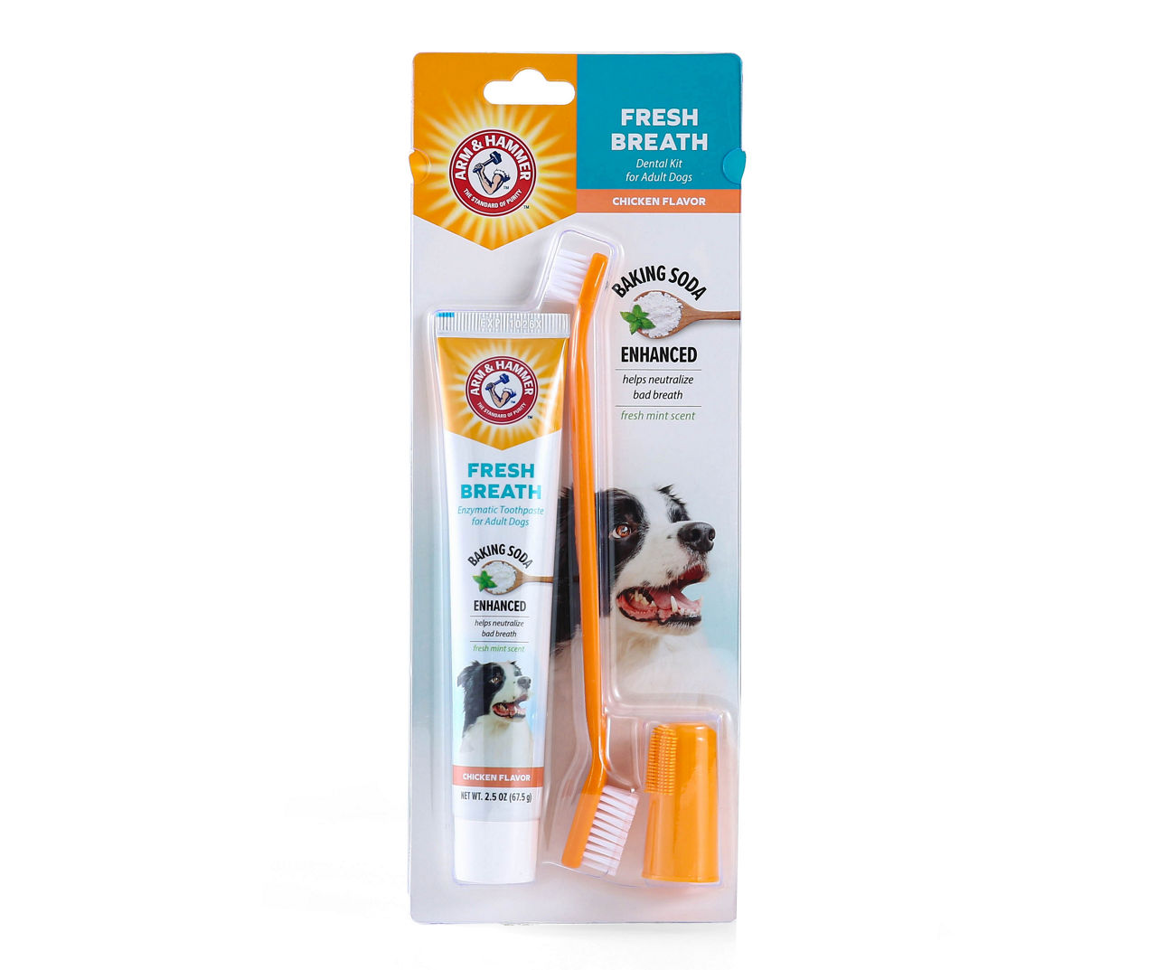 Dental Kit for Adult Dogs