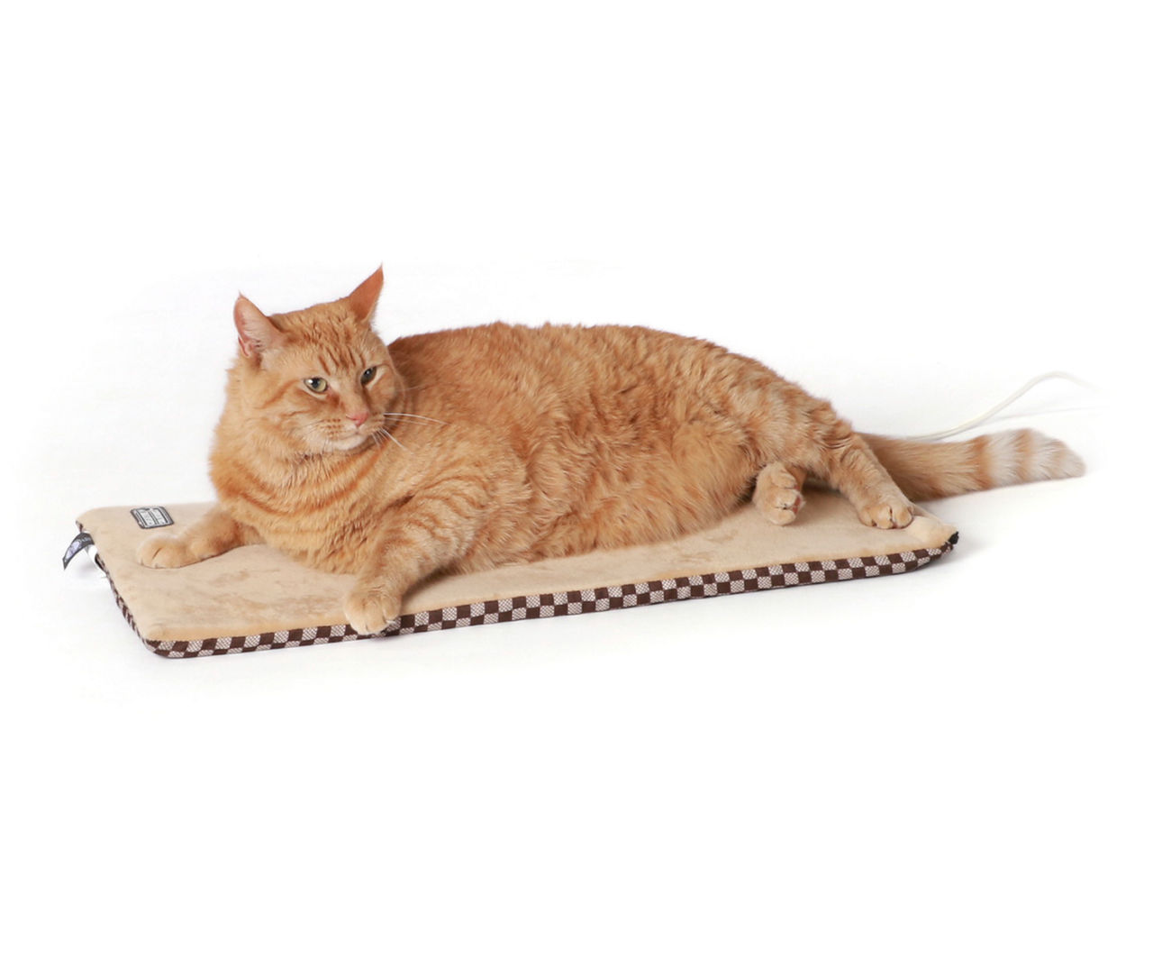 Big lots cat beds hotsell