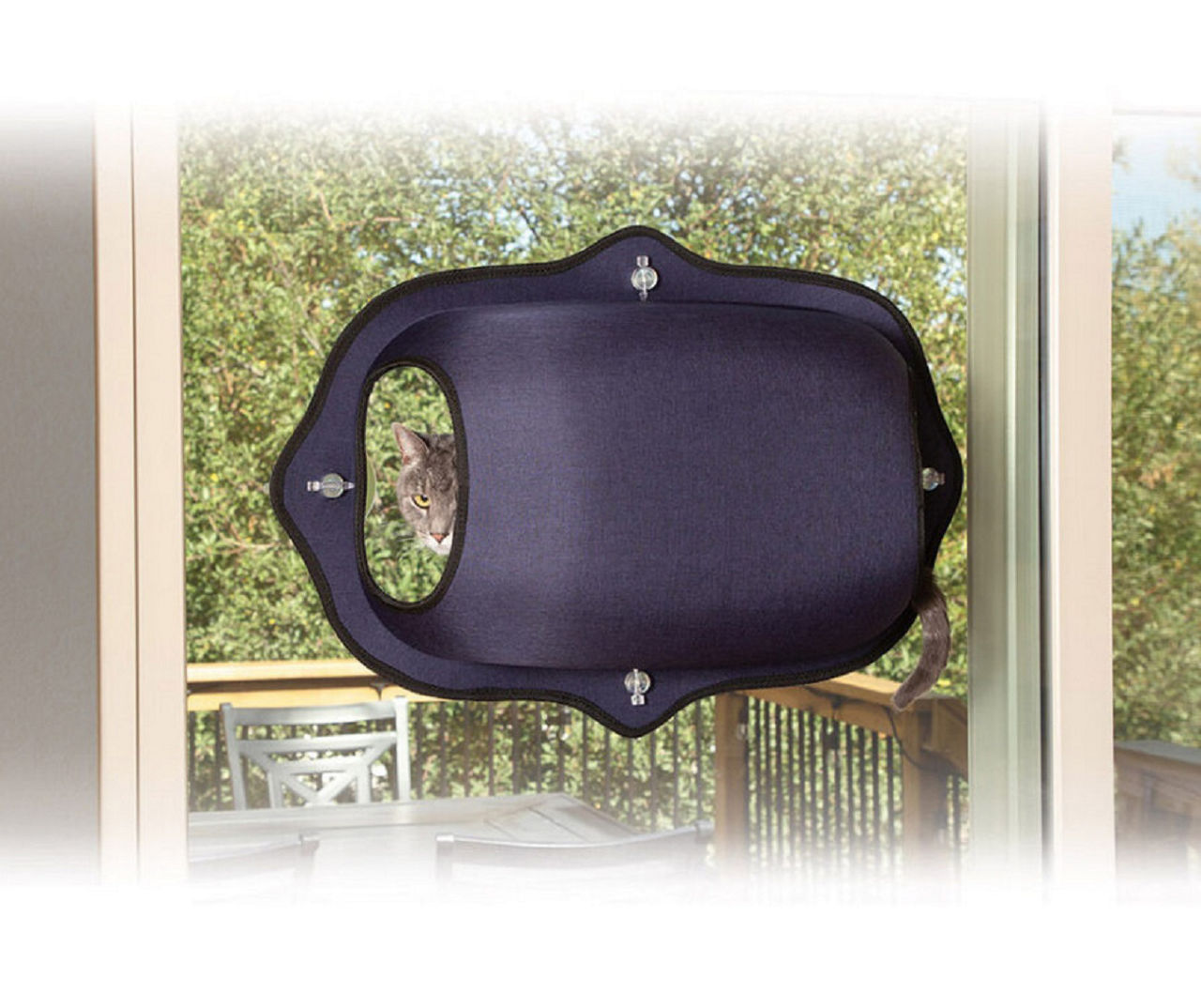 Cat window pod best sale