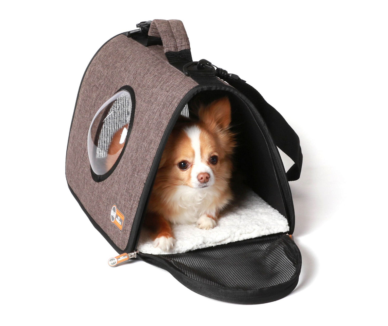 Shops big lots pet carrier