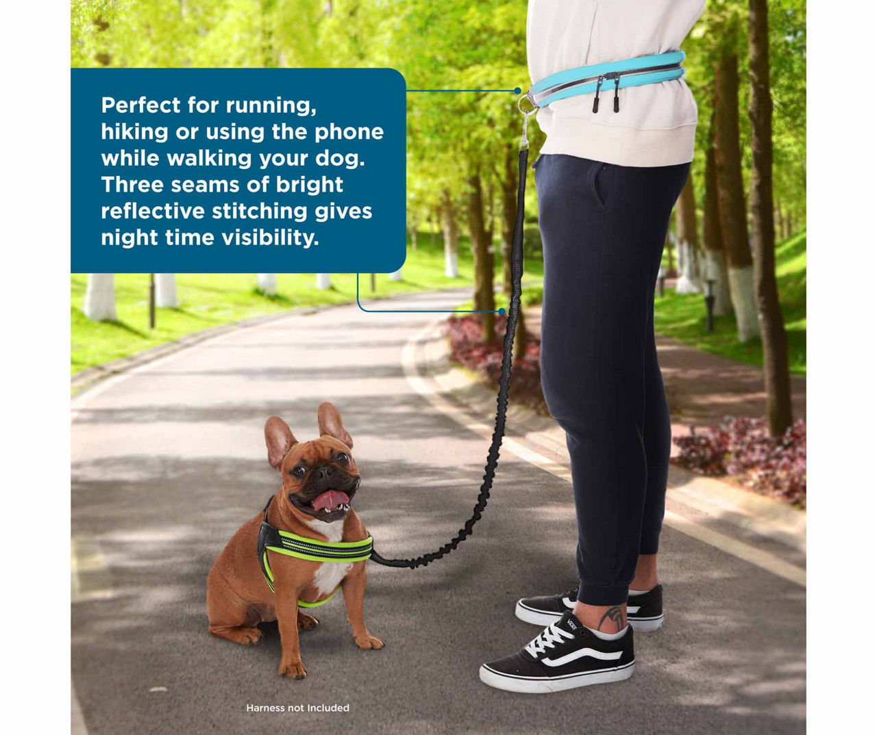 Big lots dog leash hot sale