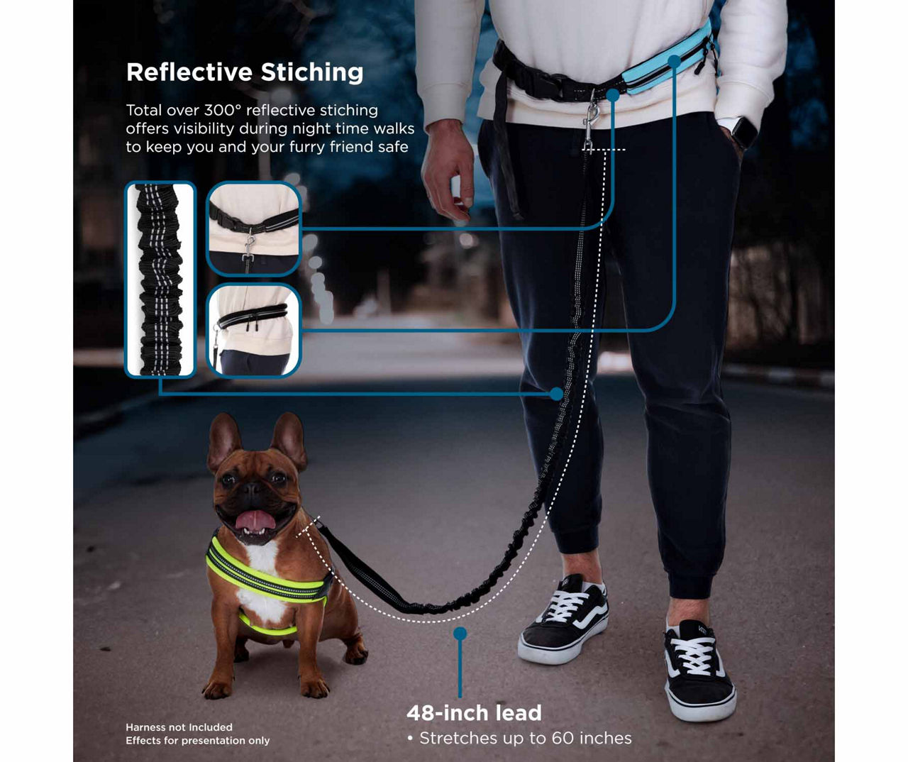 Mint Black Hands Free Bungee Running Dog Leash Set