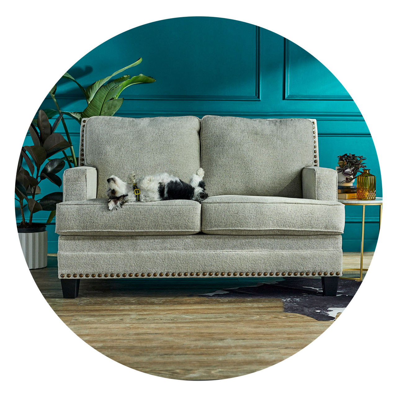 Big Lots! BIG Deals on Everything for Your Home!