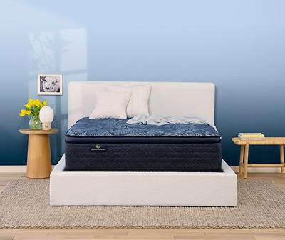 Serta Perfect Sleeper Oasis Sleep 14.5" Queen Medium Pillow Top Mattress & Low Profile Box Spring Set