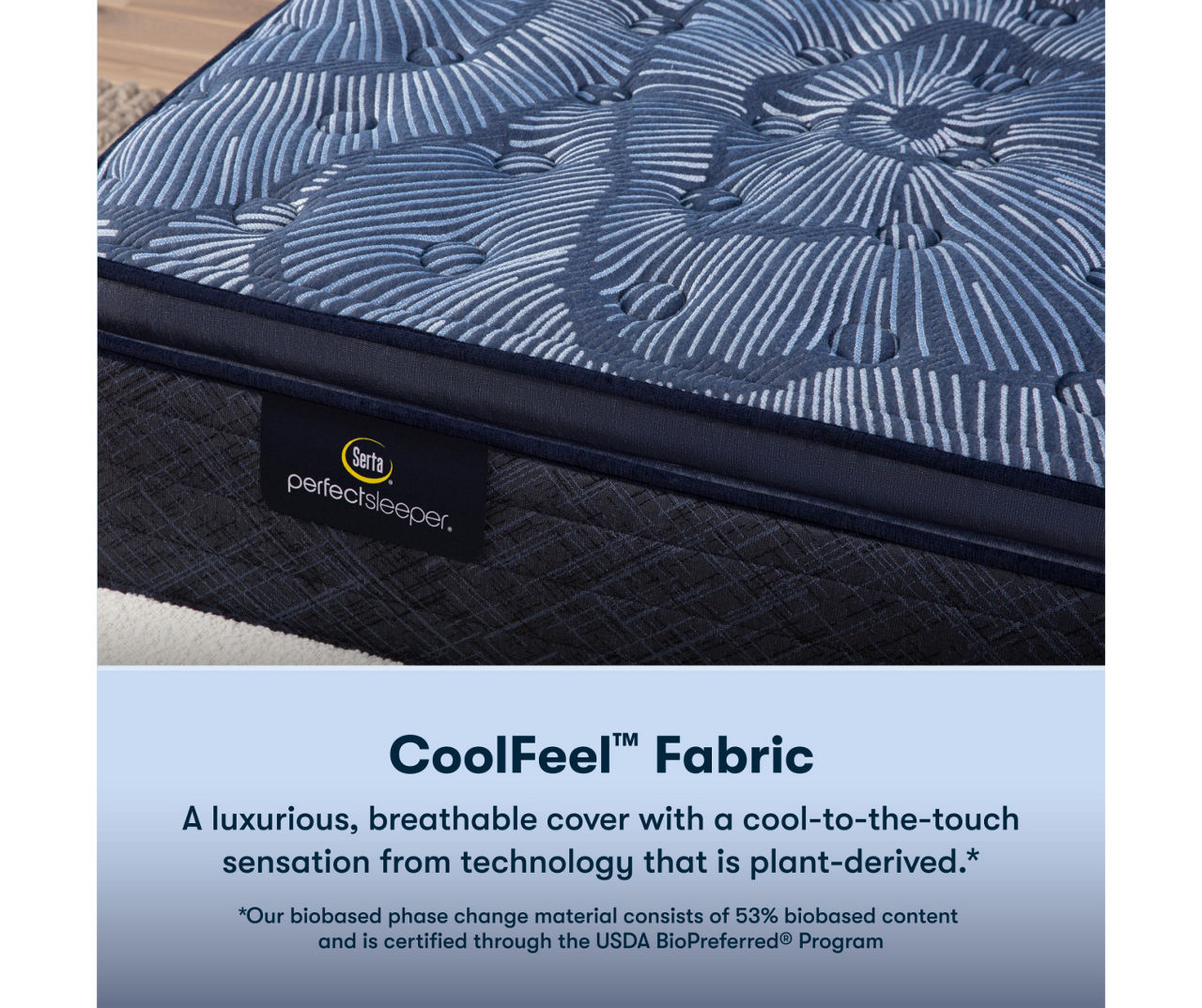 Serta Perfect Sleeper Oasis Sleep 14.5" Queen Medium Pillow Top Mattress & Low Profile Box Spring Set