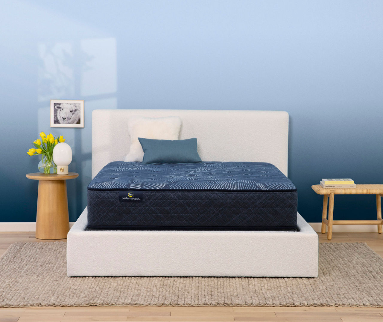 Serta Perfect Sleeper Oasis Sleep 13.25" Twin Plush Mattress & Low Profile Box Spring Set