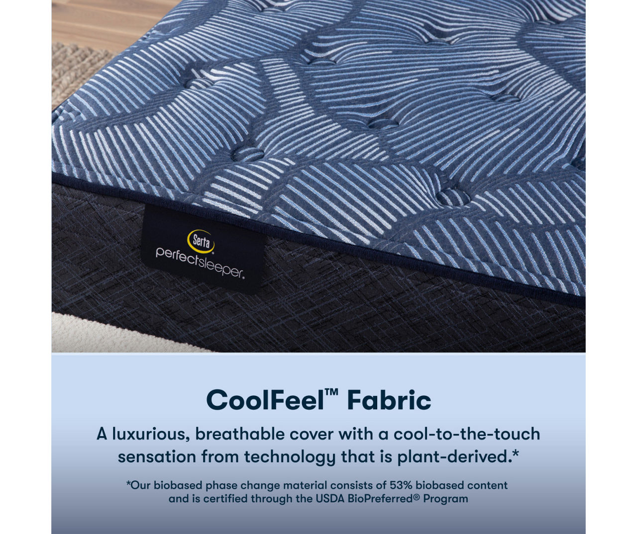 Serta Perfect Sleeper Oasis Sleep 13.25" Twin XL Plush Mattress & Low Profile Box Spring Set