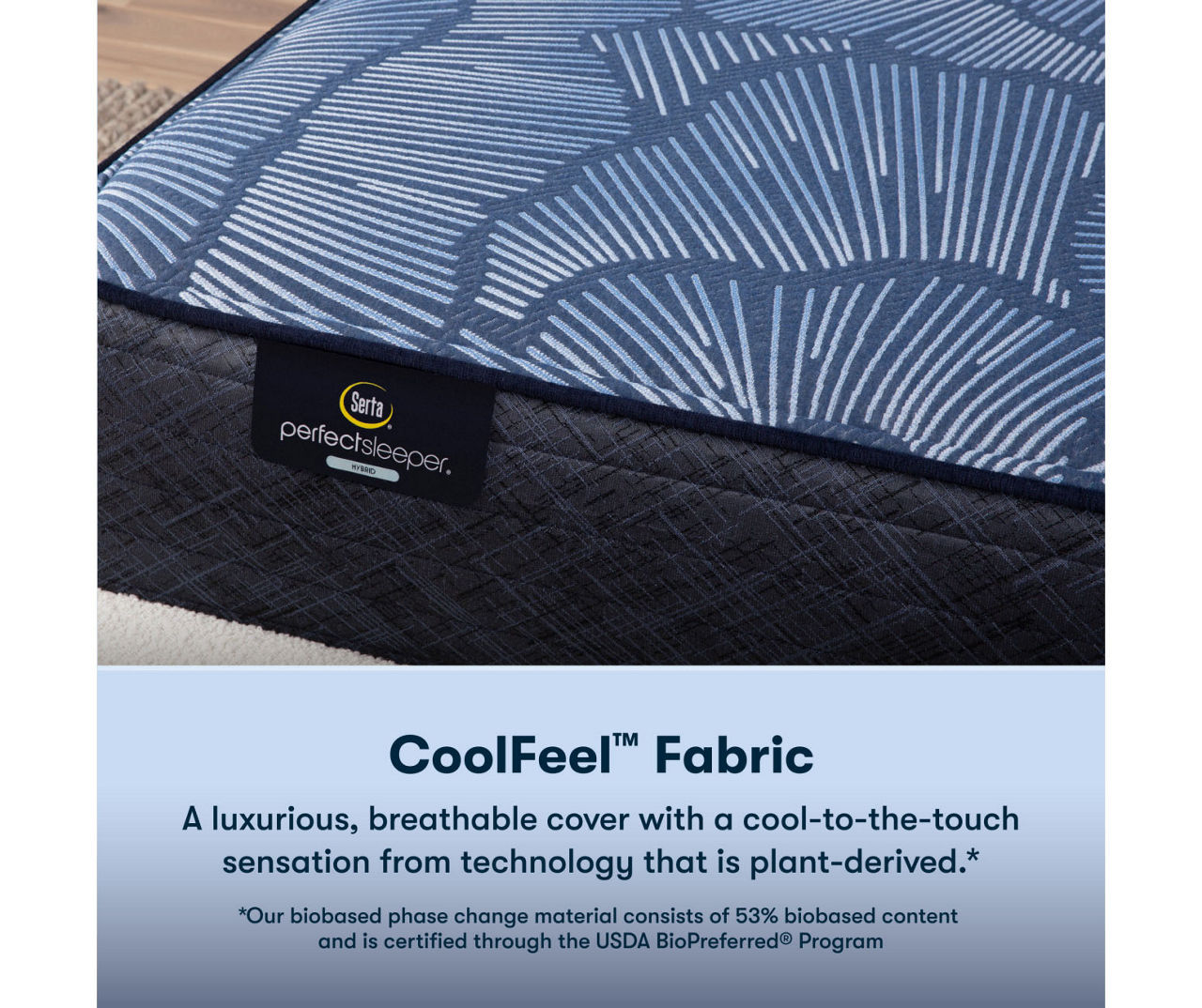 Serta Perfect Sleeper Radiant Rest Hybrid 14" Queen Firm Mattress & Low Profile Box Spring Set