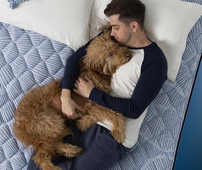 Serta Perfect Sleeper Nurture Night 14.5" Twin XL Plush Pillow Top Mattress & Low Profile Box Spring Set