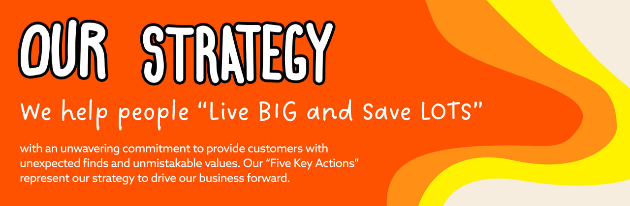 Our Strategy - We Help People Live big and Save Lots with an unwavering commitment to provide customers with unexpected finds ant 