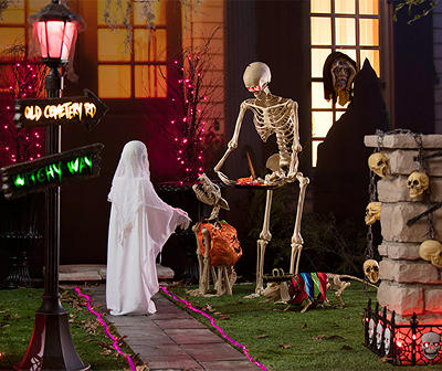 Trick or Treat Lights & Outdoor Collection