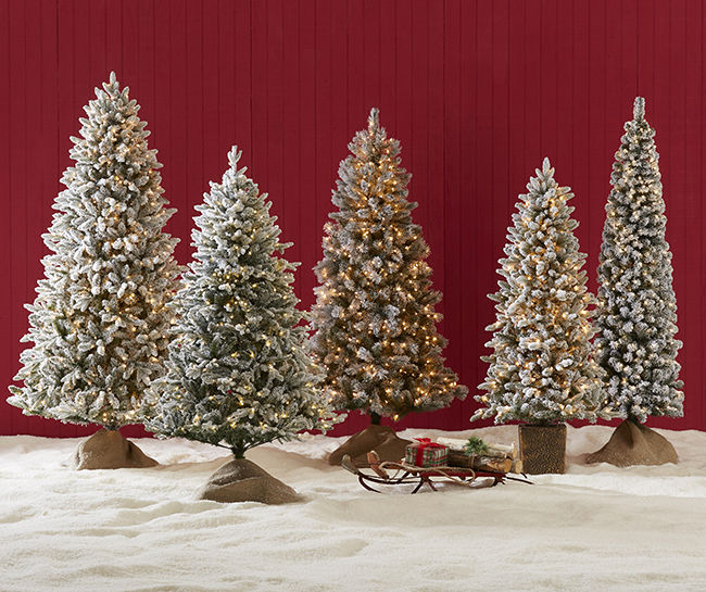 Flocked Christmas Tree Collection Big Lots